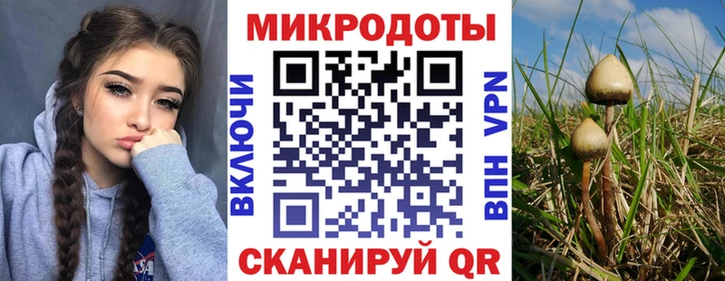 магазин  наркотиков  Кисловодск  Галлюциногенные грибы MAGIC MUSHROOMS 