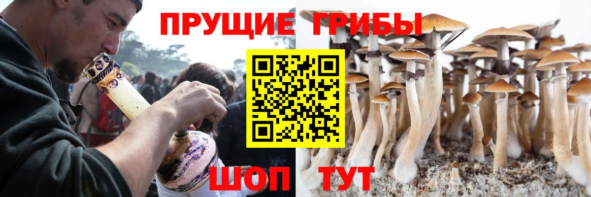 Галлюциногенные грибы Magic Shrooms  Псилоцибиновые грибы прущие грибы  Кисловодск  Вход с VPN 